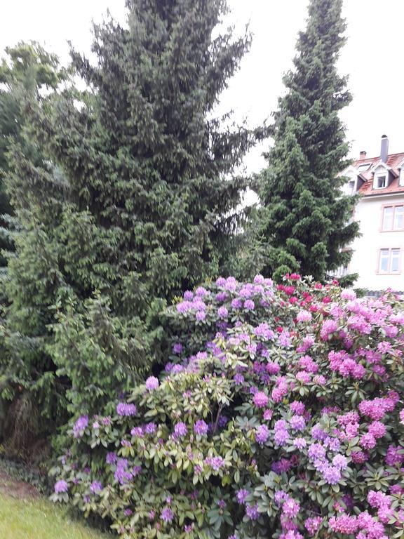 באדן-באדן Apartment Near Villa Turgenev מראה חיצוני תמונה