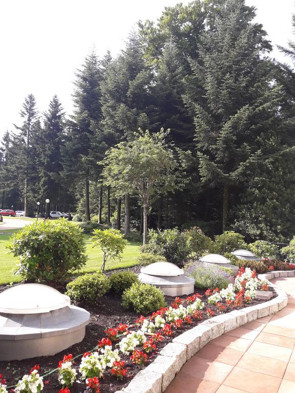 באדן-באדן Apartment Near Villa Turgenev מראה חיצוני תמונה