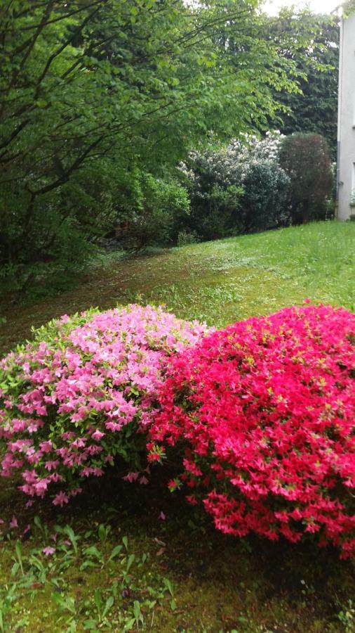 באדן-באדן Apartment Near Villa Turgenev מראה חיצוני תמונה